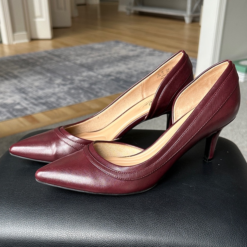 Abella Burgundy Pointed D'Orsay Heels